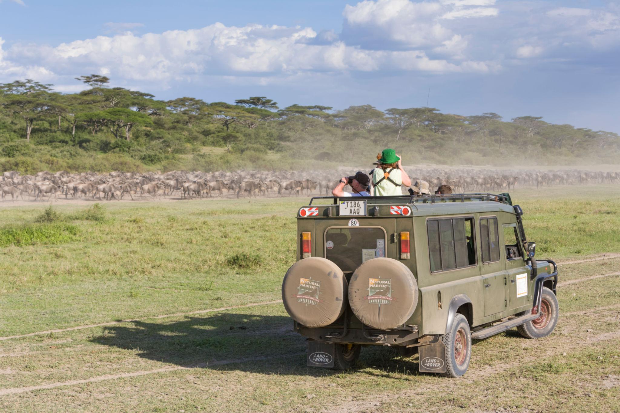 When is the best time to see the Great Migration?
