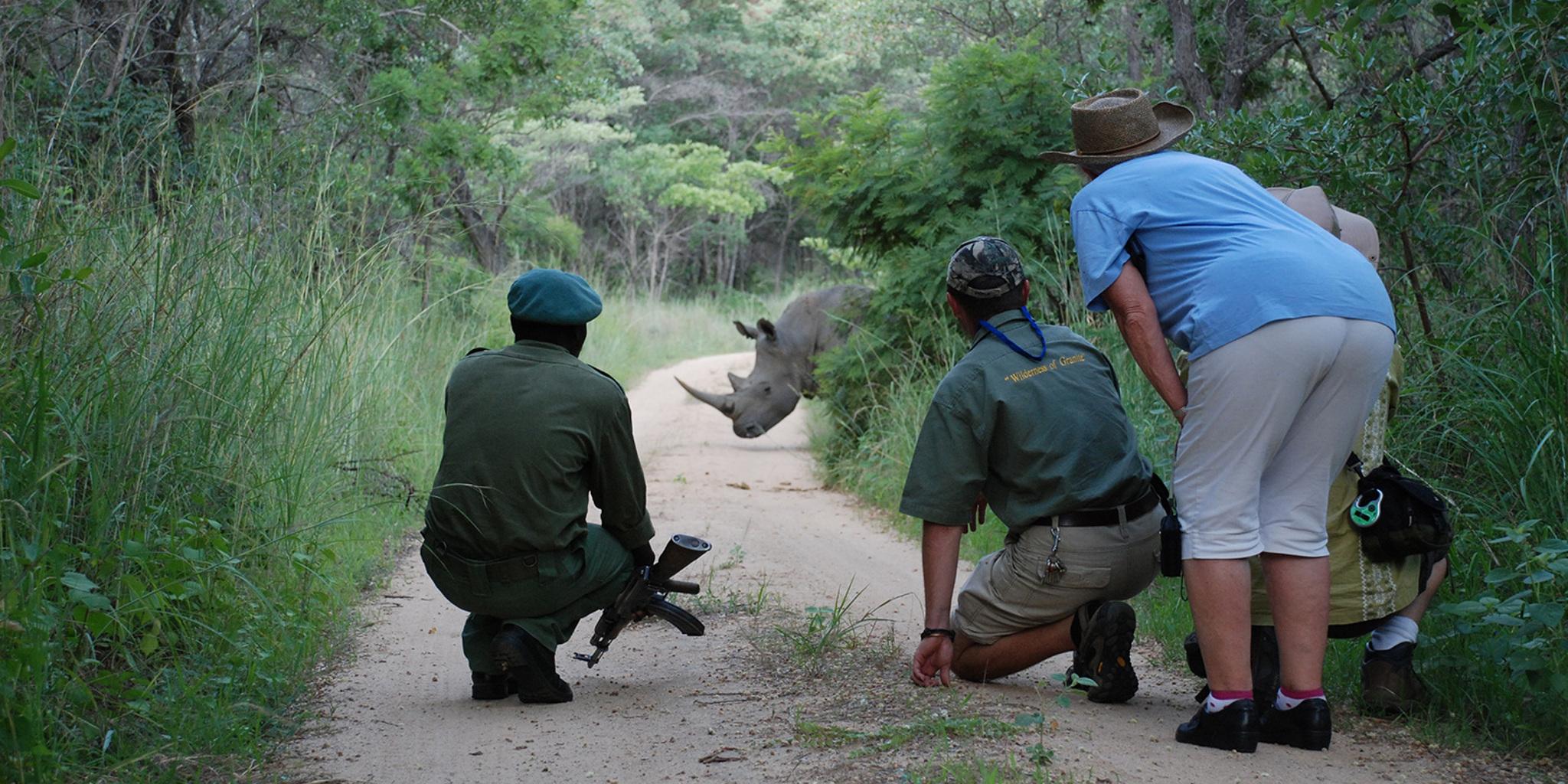 For travelers, understanding Why You Rarely See Rhinos helps set realistic expectations and enhances the overall safari experience. 