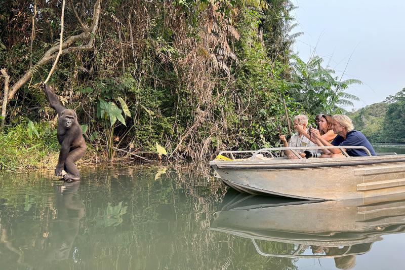 River cruise on River Congo is a must do adventure to see the wildlife of the Congo rainforest while on safari with Pieland Gorilla Safaris.