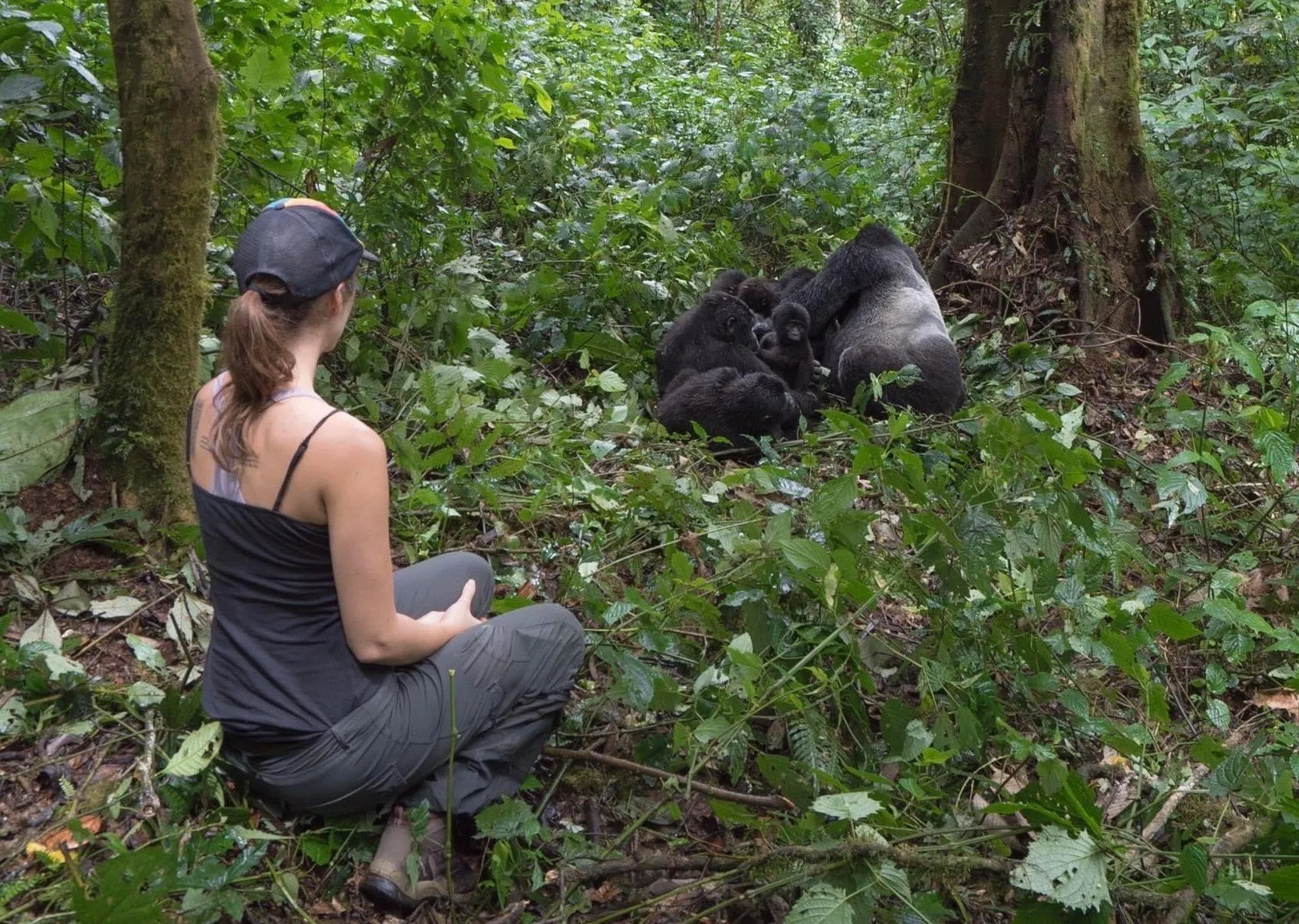 A solo traveler enjoying gorilla experience in Bwndi Impenetrable National Park during 6 days primate and wildlife safari.