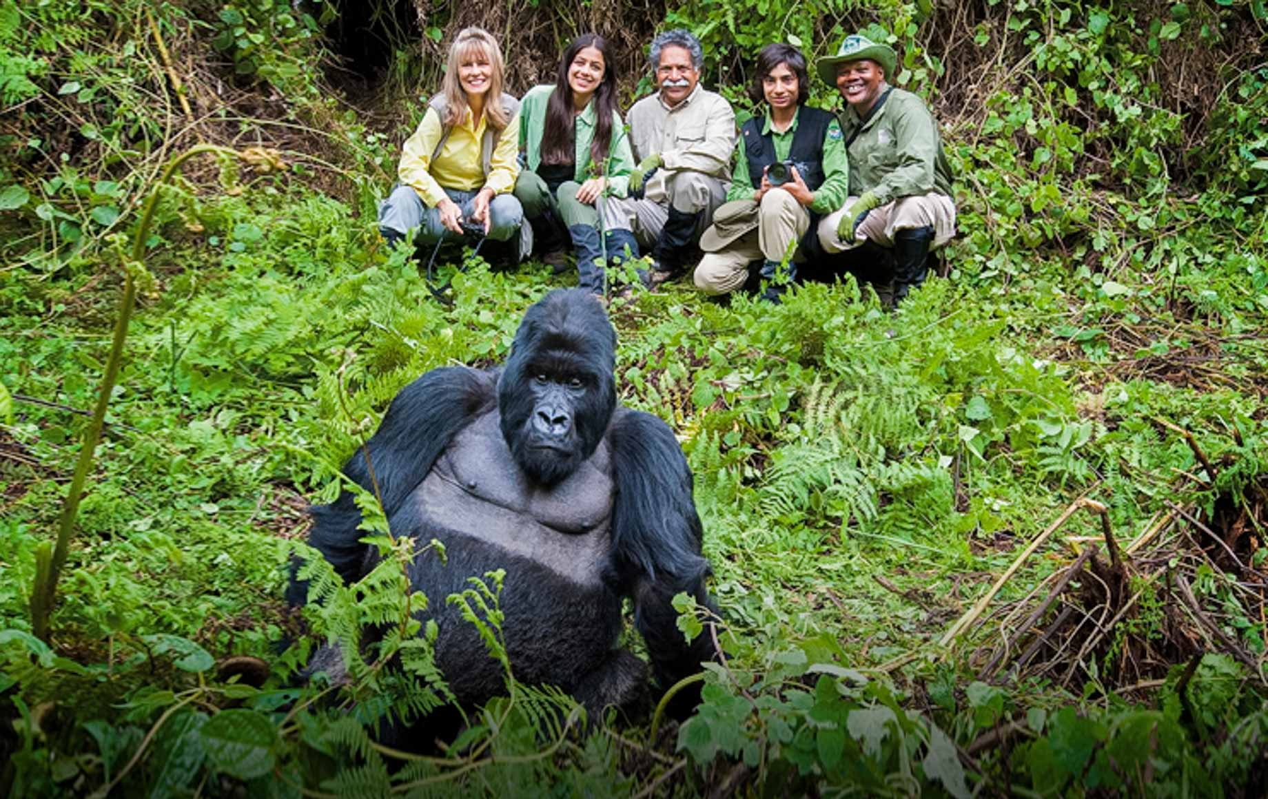 Tourists enjoying their family gorilla trekking package.