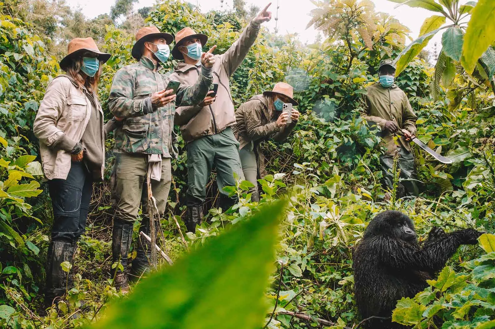 Tourists on gorilla trekking in Bwindi Impenetrable National Park on their 6 Days Primates & Wildlife Safari .