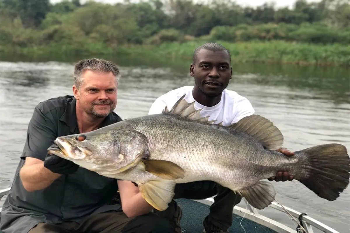 Fishing on Lake Albert offers an unforgettable experience for anglers, with its clear waters and diverse ecosystems. Known for abundant Nile perch, tilapia, and catfish, the lake provides various fishing opportunities, including trolling, live bait fishing, and casting. Surrounded by stunning landscapes and remote surroundings, Lake Albert is perfect for those seeking tranquility and an authentic fishing adventure. The best fishing is during the dry season, from December to February and June to September, when the weather is stable and conditions are ideal. Whether you’re a novice or experienced angler, Lake Albert promises a rewarding and peaceful fishing retreat.