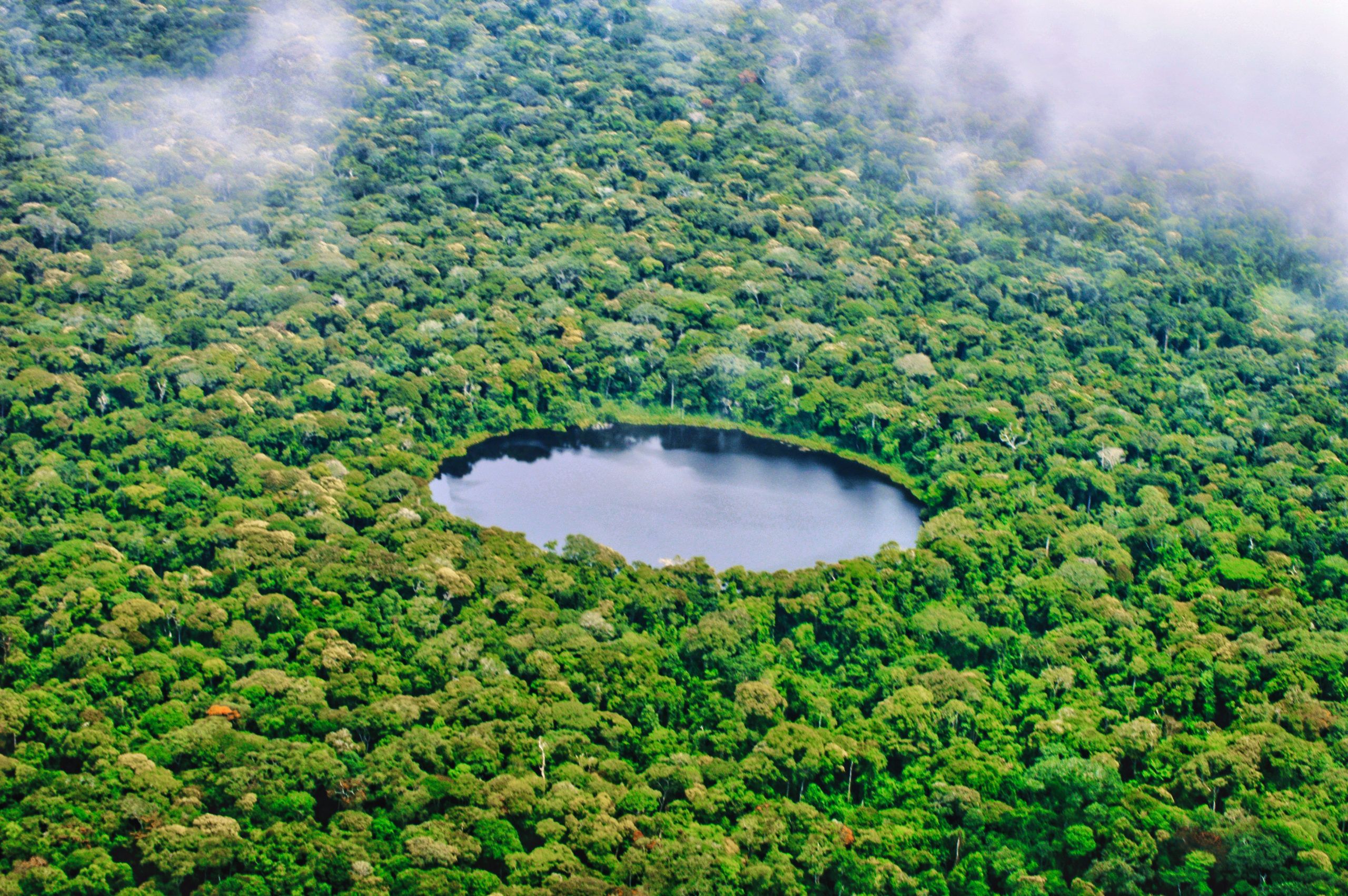 Dense rainforest offers visitors with raw wilderness experience.
