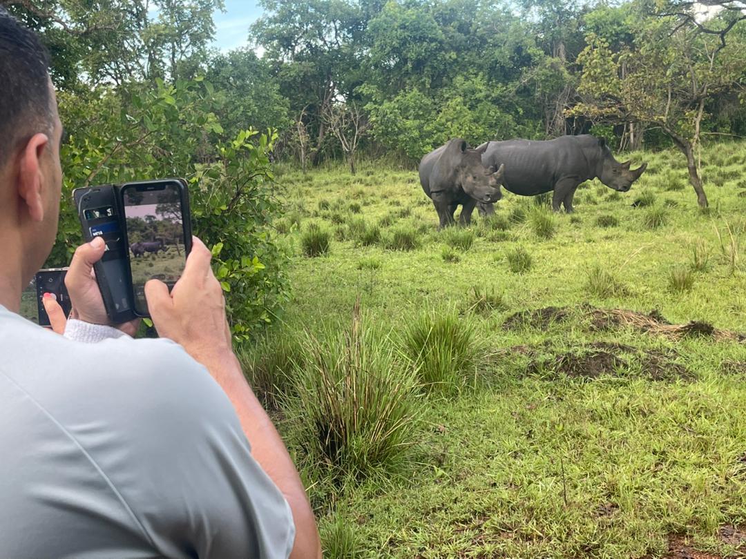 A tourist taking photos of the rhinos at Ziwa rhino sanctuary on a 12 days best Uganda safari.