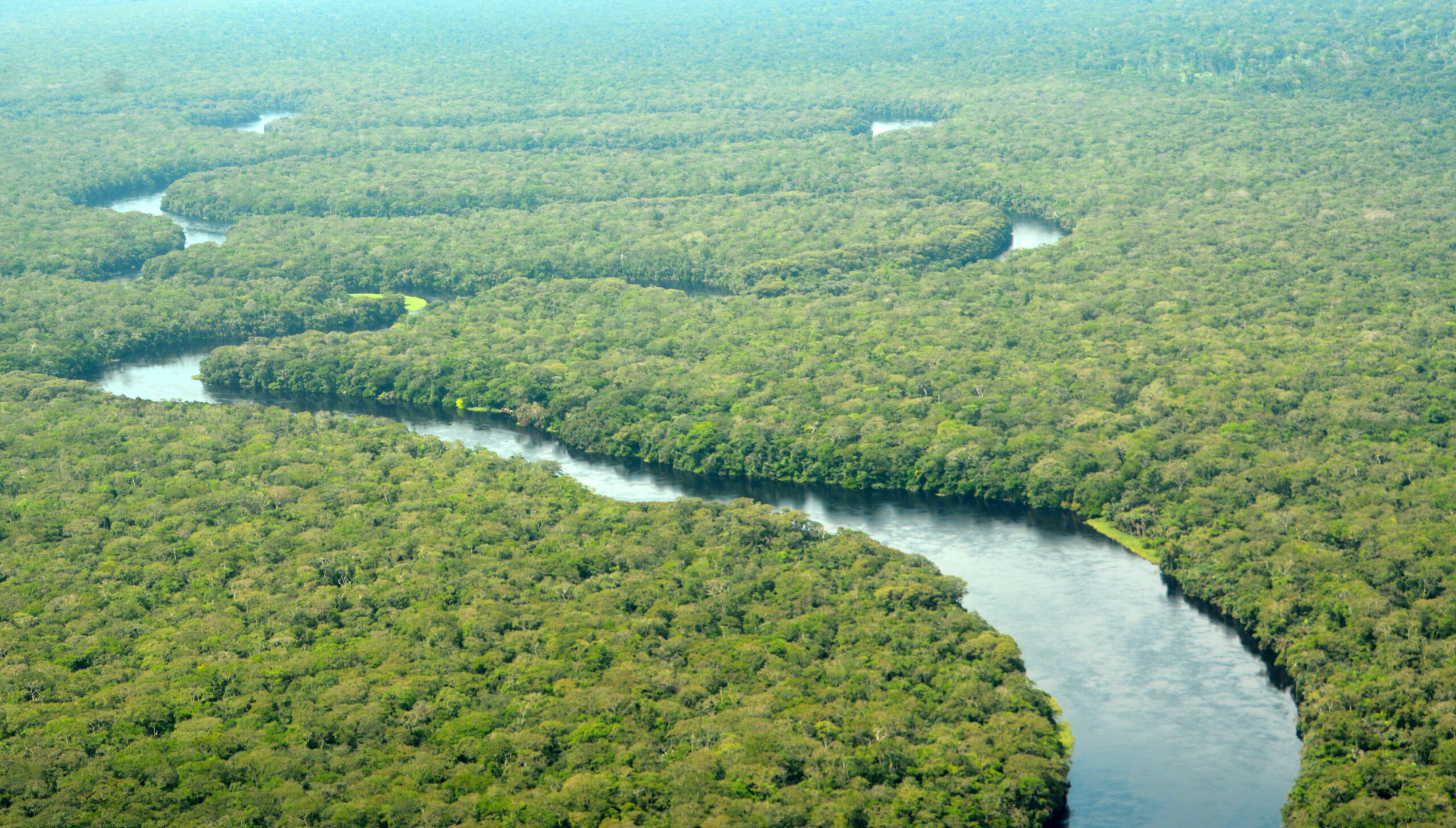 Salonga National Park.