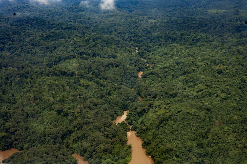 Tayna Gorilla Reserve is a community-managed conservation area in eastern Democratic Republic of Congo that protects critical habitat for the endangered Eastern Lowland Gorilla. Located within the Congo Basin rainforest, the reserve supports exceptional biodiversity, promotes community-based conservation, and serves as a model for sustainable wildlife protection and environmental stewardship.