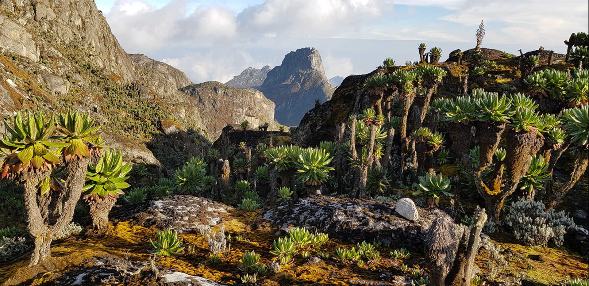 Rwenzori Mountains has great scenic and beautiful landscape in Uganda.