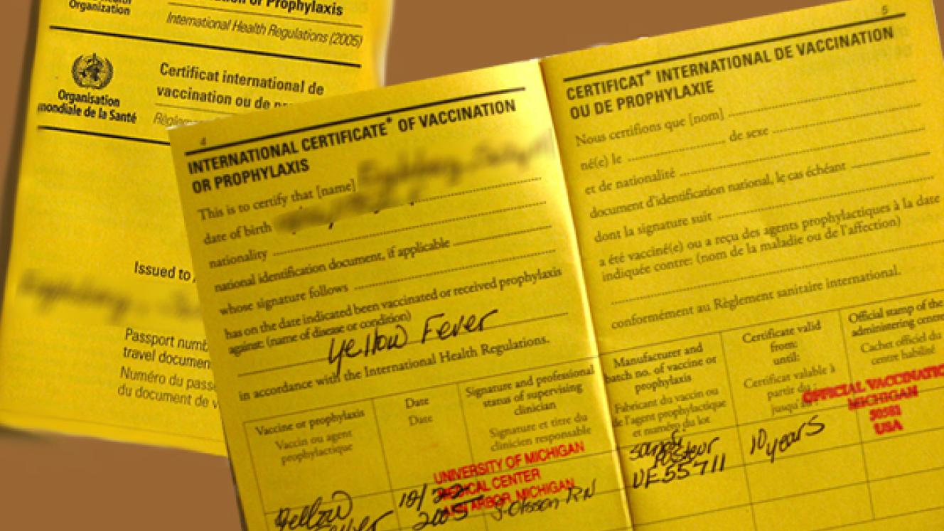 Yellow fever vaccination is one of the most important travel requirements because it helps protect travelers against yellow fever, a mosquito-borne viral disease found in tropical regions. Many travelers entering the Democratic Republic of the Congo are required to present a valid yellow fever vaccination certificate upon arrival.