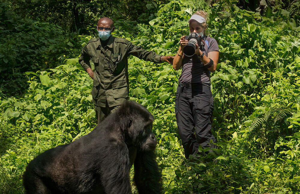 A tourist with park rangers on gorilla trekking in Kauzi-Biega National Park. Rangers protect both animals and tourists while in the park.