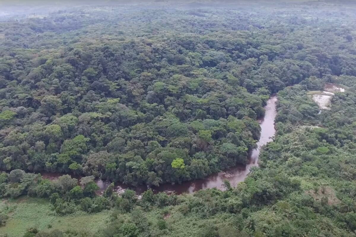  Itombwe Nature Reserve.