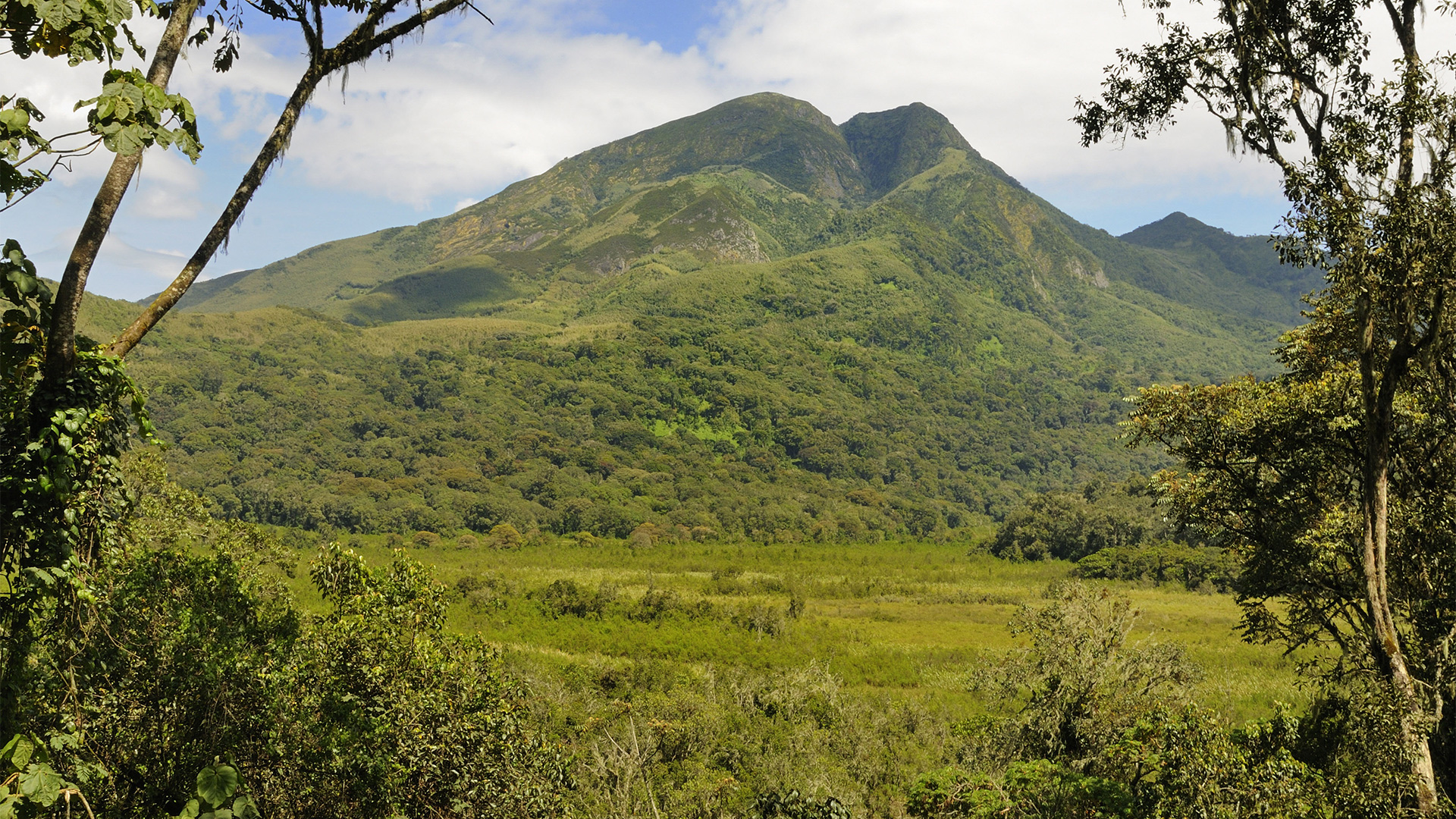 Mount Kahuzi in Congo is one of the best attractions for hiking safaris in Congo with Pieland Gorilla Safaris.