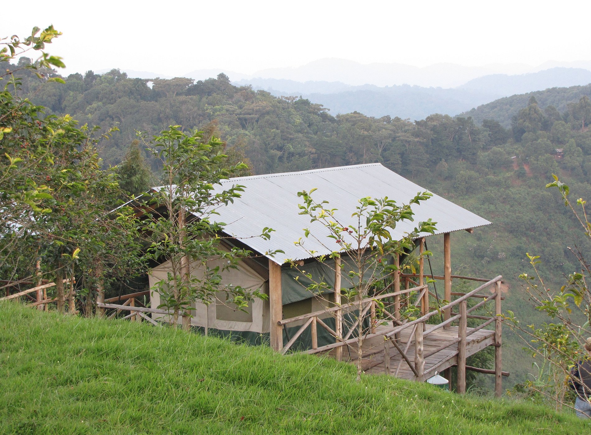 Budget accommodation for budget gorilla trekking in Africa.