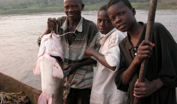 Tigerfish caught on river Congo as part of their cultural activities.