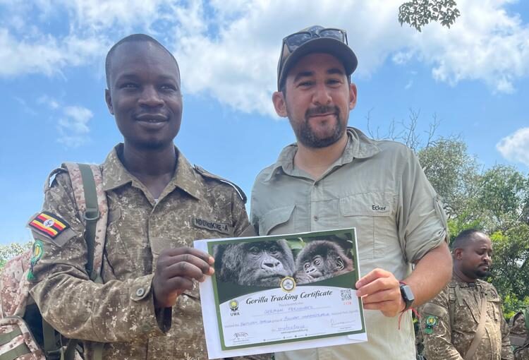 Tips for guides are an additional gorilla trekking expense that travelers should consider when budgeting for their safari. Although tipping is not mandatory, it is a common way to appreciate excellent service from ranger guides, driver-guides, and lodge staff. Gratuities support local livelihoods and reward the professionals who help make the trekking experience safe, informative, and memorable.