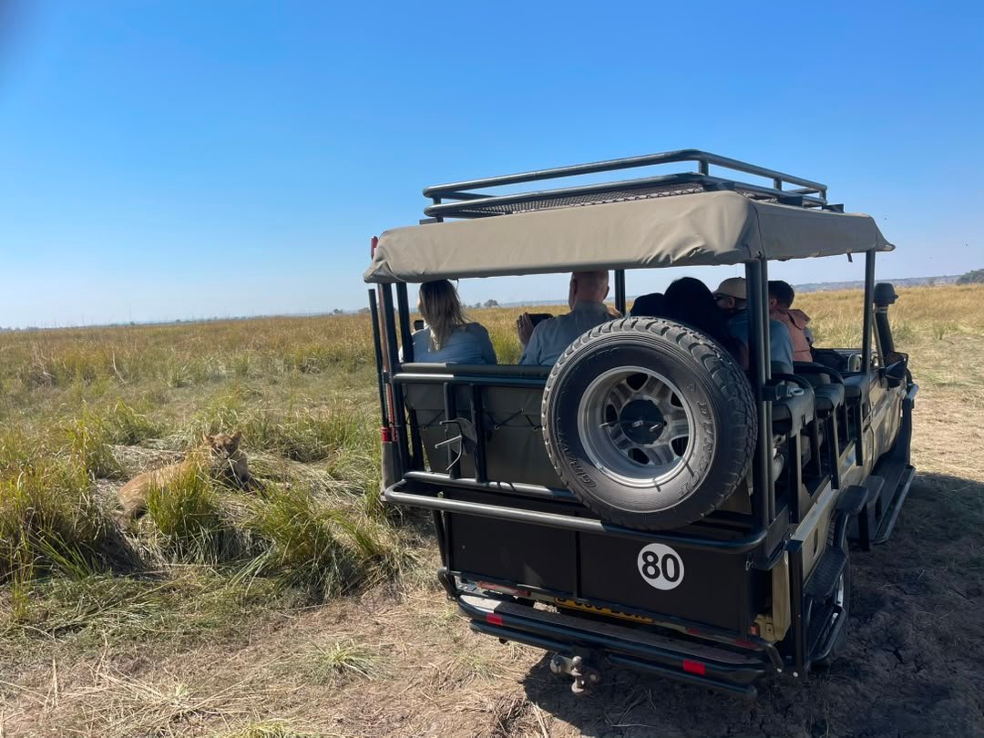 On a day trip to Chobe National Park, Pieland Gorilla Safaris uses a comfortable 4x4 safari vehicle to provide travelers with an excellent game-viewing experience. The vehicle is designed to handle Chobe’s varied terrain while offering clear views of wildlife during the game drive. Its elevated seating allows travelers to observe and photograph elephants, giraffes, buffaloes, lions, antelopes, and other animals across the park. The strong four-wheel-drive system makes it easier to explore different wildlife areas safely and efficiently. With an experienced safari guide, travelers enjoy a comfortable, exciting, and memorable journey through the beautiful landscapes of Chobe National Park.