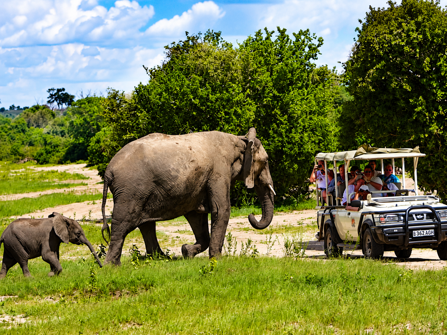 Family viewing wildlife during a dry season game drive in Chobe National Park, Botswana.
