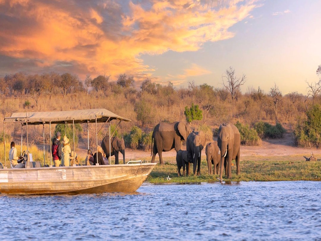A sunset cruise on the Chobe River is an exciting adventure during the 14 Days Victoria Falls and Botswana Safari, offering travellers a unique opportunity to observe wildlife from the water. As the boat gently moves along the river, guests can enjoy close encounters with elephants, hippos, crocodiles, buffalo and various bird species along the shoreline. The golden sunset creates a breathtaking backdrop, making the cruise a perfect combination of relaxation, photography and unforgettable wildlife experiences in Botswana’s wilderness.