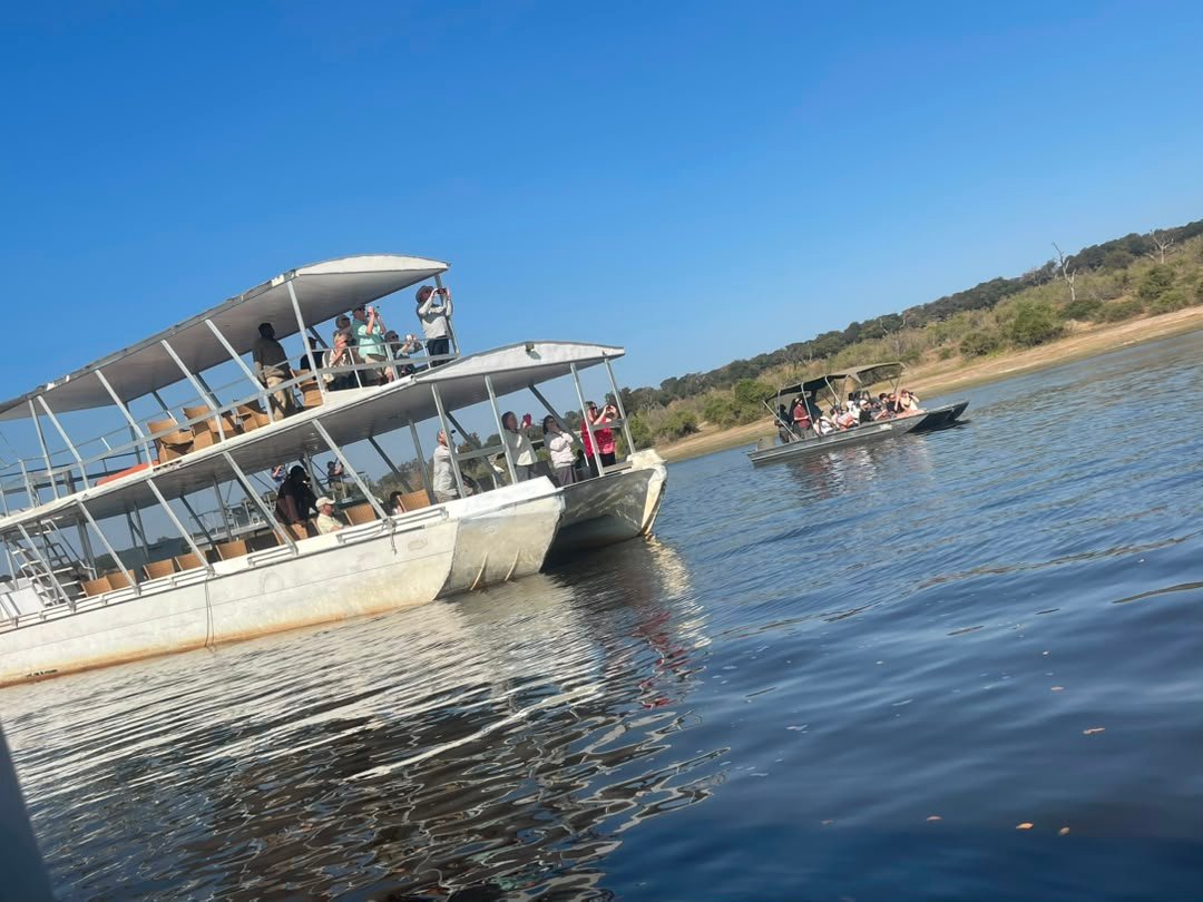 A Chobe River boat safari is one of the best safari activities to enjoy in Chobe National Park with Pieland Gorilla Safaris. Cruising along the river offers a peaceful way to observe elephants drinking and bathing, hippos resting in the water, crocodiles along the banks, and numerous colorful bird species. The river also attracts buffaloes, antelopes and other wildlife, especially during the dry season. Afternoon cruises are particularly rewarding because animals gather near the water as temperatures cool. With Pieland Gorilla Safaris, a Chobe River boat safari combines excellent wildlife viewing, photography and beautiful river scenery in one memorable Botswana experience.