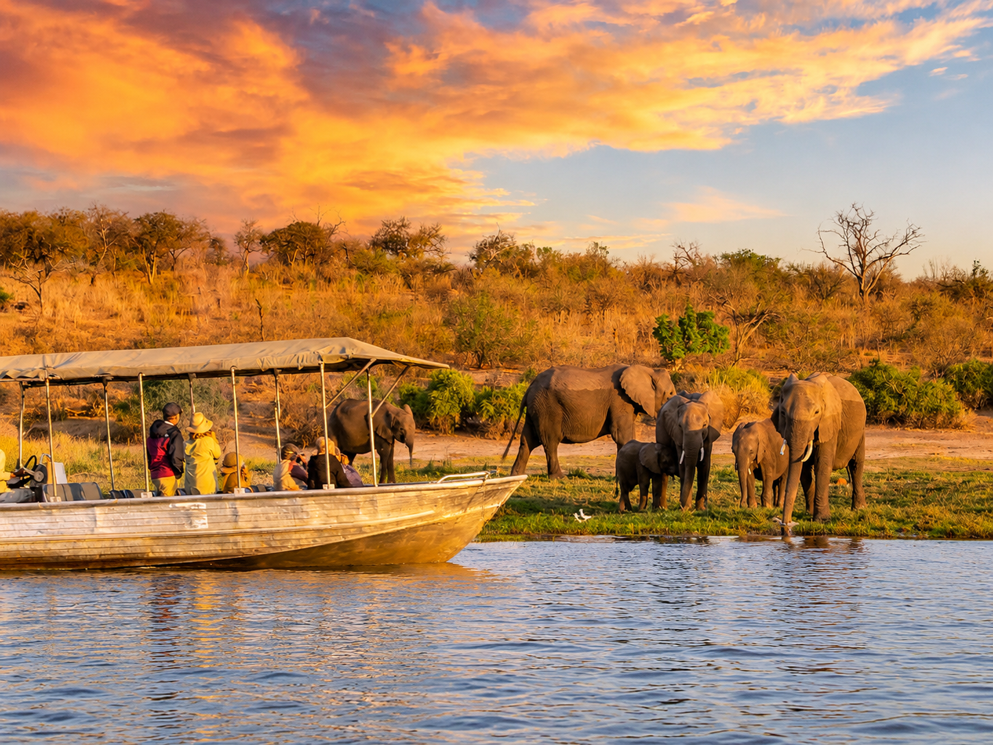 Family enjoying a sunset boat cruise on the Chobe River during a Victoria Falls Family Safari in Botswana.