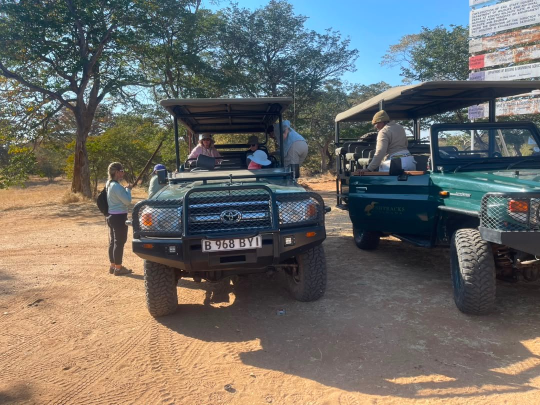 Game drive vehicles are prepared and ready to pick up tourists for an exciting journey to Chobe National Park on a trip organized by Pieland Gorilla Safaris. These comfortable 4x4 safari vehicles are designed for wildlife viewing and provide travelers with clear views of the surrounding landscapes and animals. Guests are picked up from the agreed meeting point before proceeding toward the park for their game drive experience. With experienced safari guides, reliable transport, and well-planned arrangements, Pieland Gorilla Safaris ensures a smooth and enjoyable adventure. The vehicles offer a safe, comfortable, and convenient way to explore Chobe National Park.
