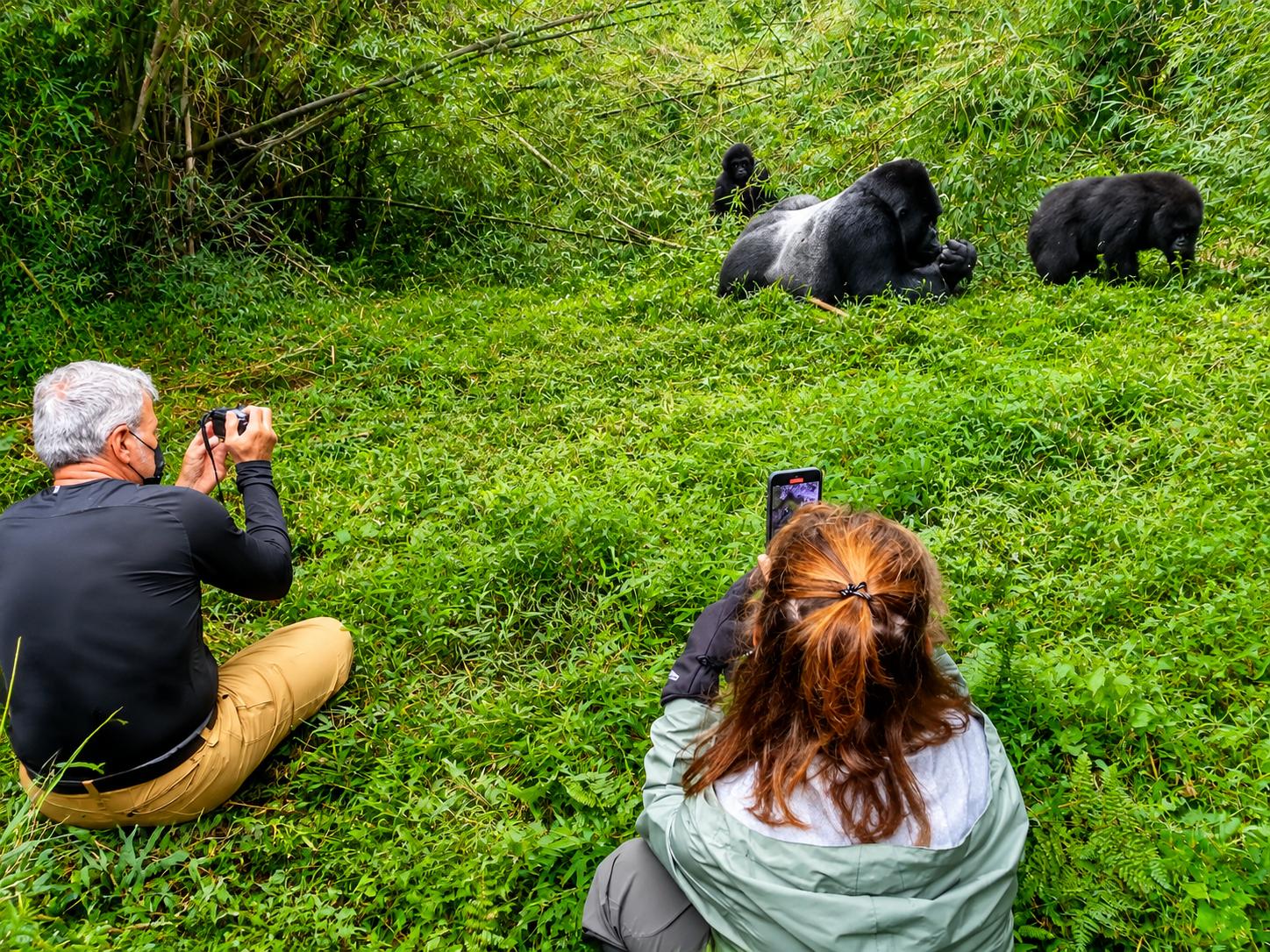 Travellers observing mountain gorillas during an unforgettable gorilla trekking experience in Africa.
