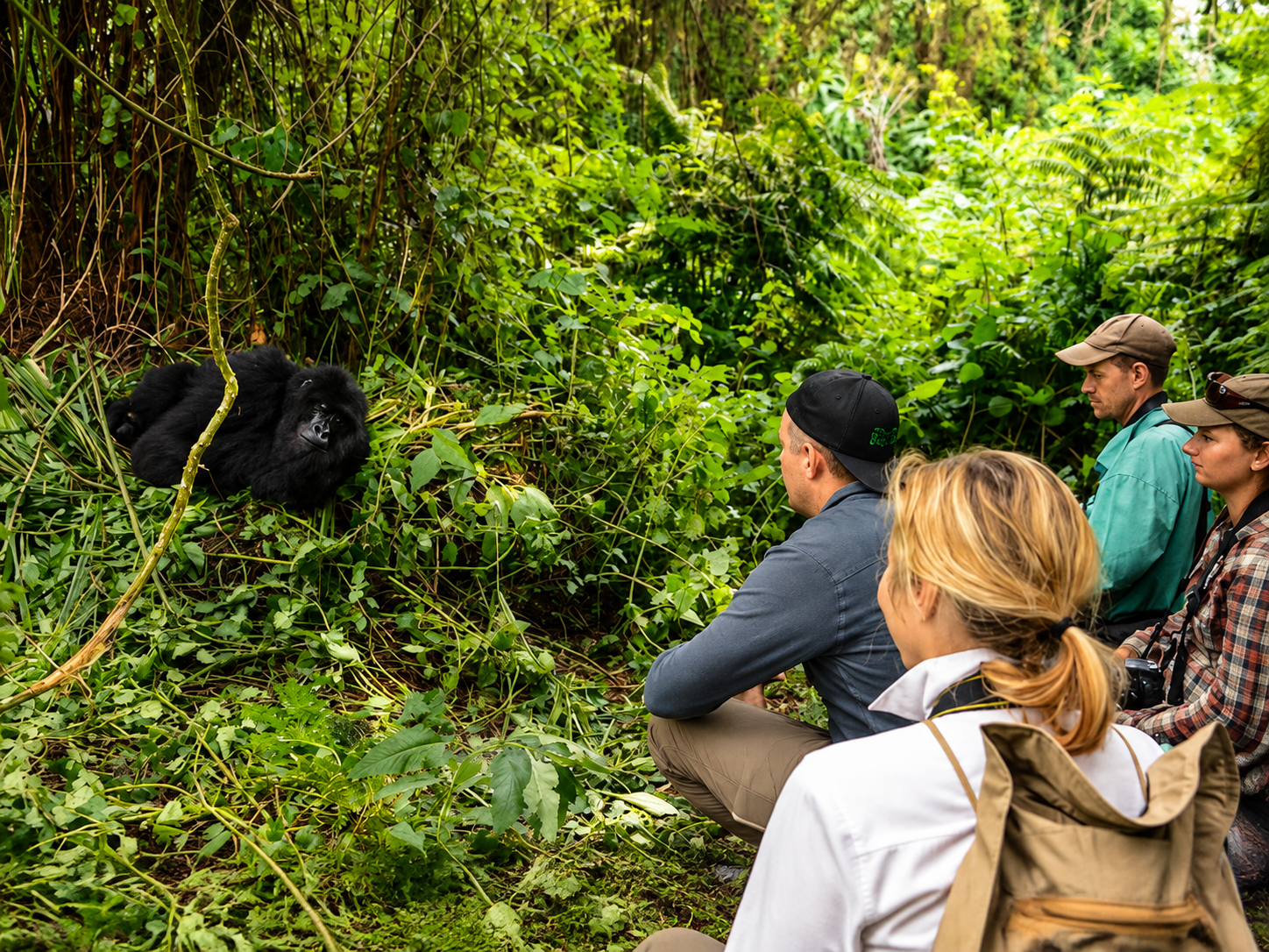 Family observing mountain gorillas during a gorilla trekking experience combined with a Victoria Falls adventure in Africa.