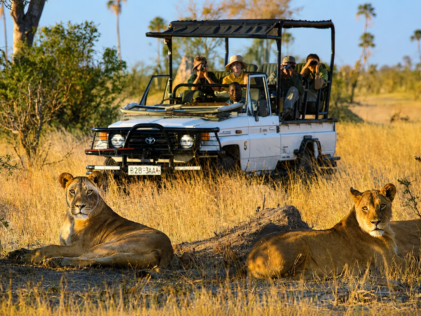 Family experiencing wildlife viewing during a Hwange National Park safari game drive in Zimbabwe.