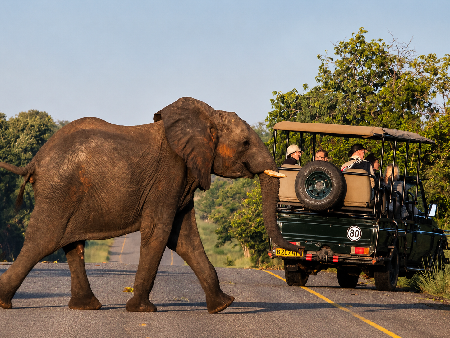 Tourists enjoyed a full-day game drive safari experience during their luxury safari, exploring the breathtaking wilderness and discovering the incredible wildlife of Africa. Guided by experienced safari experts, they travelled through diverse landscapes while searching for iconic animals including elephants, lions, buffaloes, giraffes, zebras, and antelopes. The adventure provided unforgettable wildlife encounters, excellent photography opportunities, and a deeper appreciation of the beauty, diversity, and natural wonders of the African wilderness.