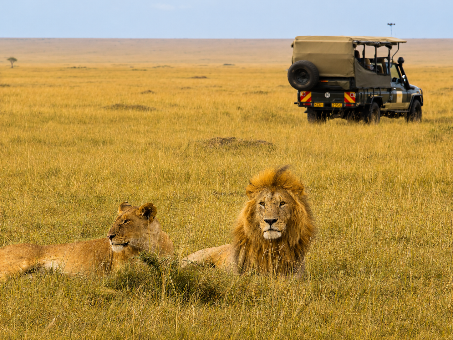 Tourists travelling from Maasai Mara through Nairobi to connect to Victoria Falls.
