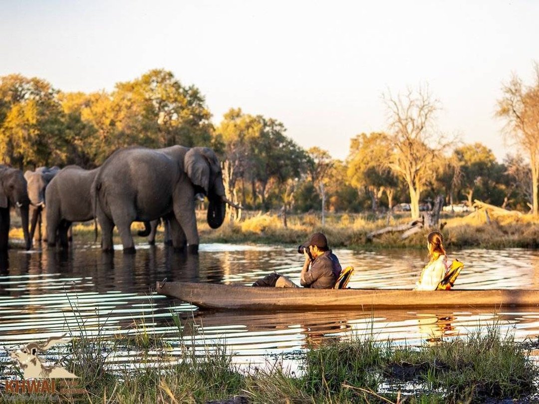 Tourists on a handmade dugout canoe in the Okavango Delta enjoy an unforgettable Mokoro Safari experience while exploring one of Africa’s most unique wetland ecosystems. Gently gliding through peaceful waterways, travellers admire beautiful landscapes, colourful birdlife and wildlife along the channels. Guided by experienced local polers, the traditional canoe journey offers a quiet and immersive way to discover the Delta’s natural beauty while creating memorable moments surrounded by untouched wilderness.
