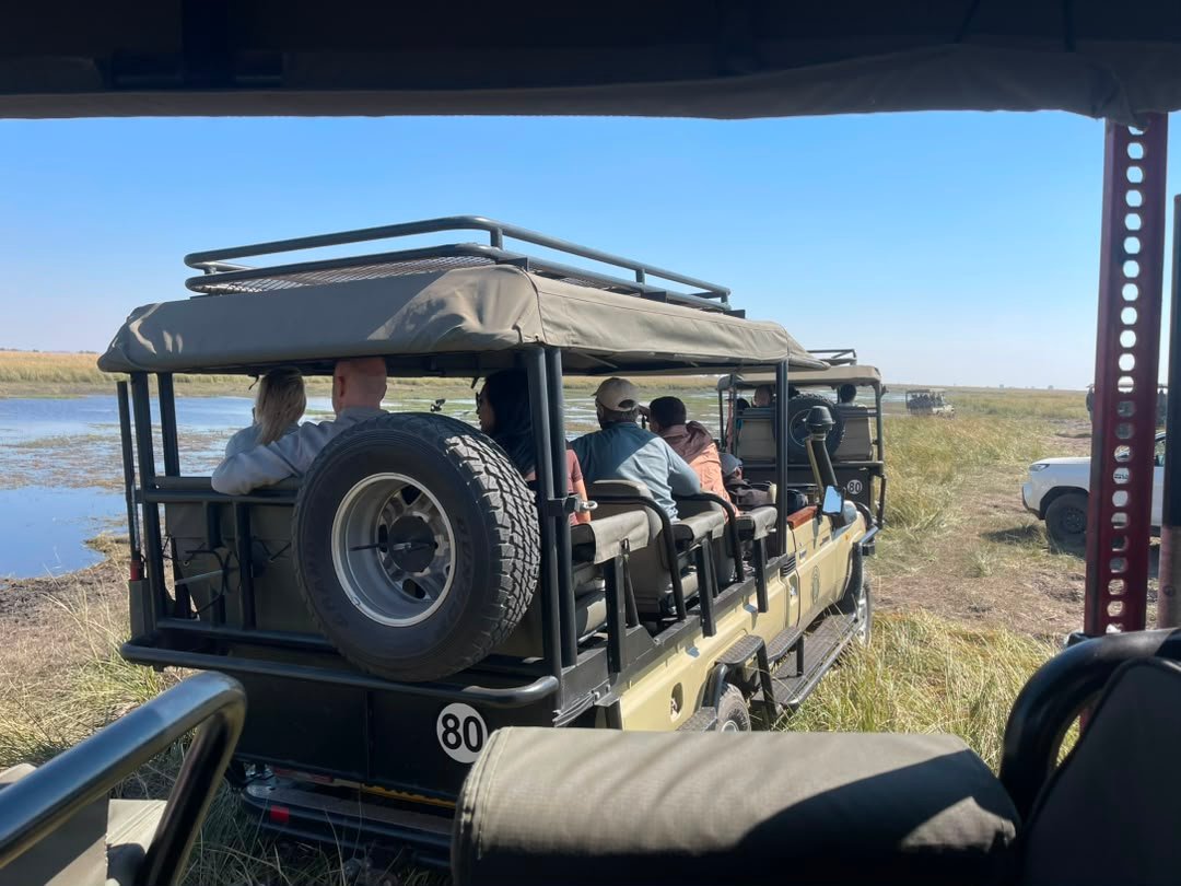 A morning game drive is one of the best safari activities to enjoy in Chobe National Park, offering excellent opportunities to see wildlife when temperatures are cooler and animals are often more active. The drive usually begins around sunrise, allowing travelers to explore the Chobe Riverfront, woodland and open plains in search of elephants, lions, buffaloes, giraffes, antelopes and other wildlife. Predators may still be active after the night, while soft morning light creates ideal conditions for photography. The peaceful atmosphere, fresh tracks and frequent wildlife encounters make a morning game drive an unforgettable highlight of any Chobe safari.