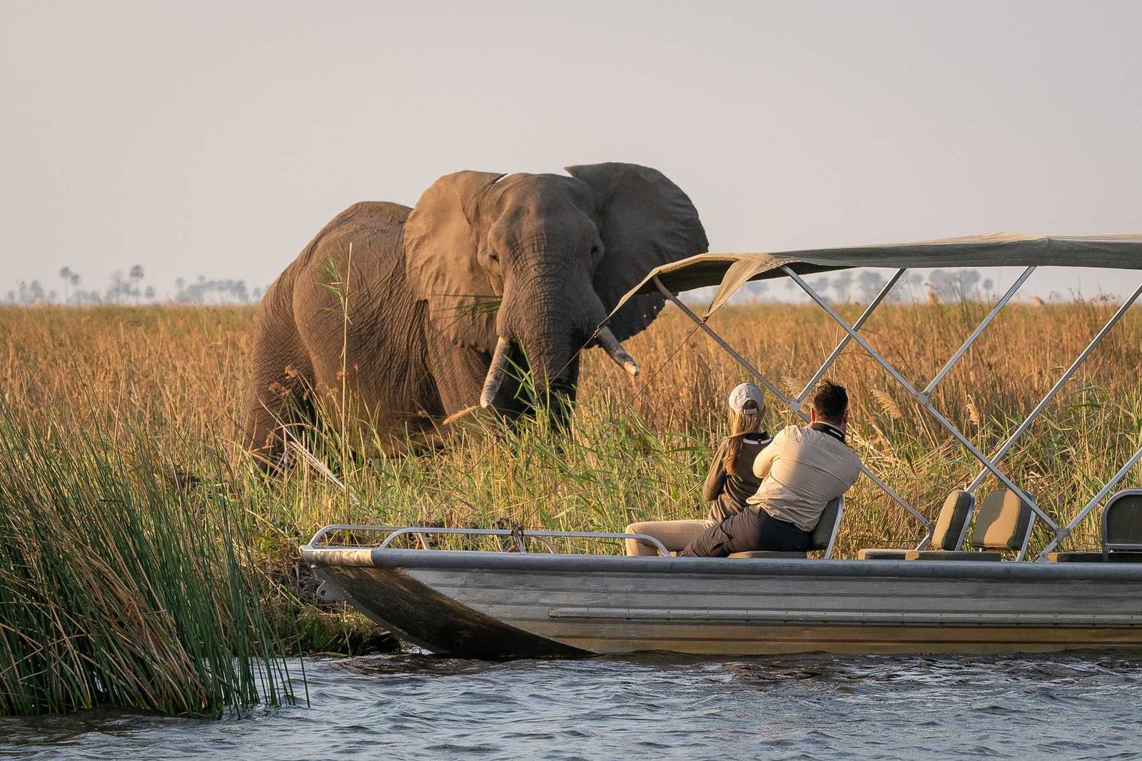 Combining Chobe National Park with the Okavango Delta is a remarkable Botswana adventure organized by Pieland Gorilla Safaris. The journey brings together two contrasting wildlife environments, beginning with Chobe’s famous elephant herds, exciting game drives and boat safaris along the Chobe River. Travelers then continue to the Okavango Delta, where waterways, floodplains and islands create opportunities for wildlife viewing by safari vehicle, boat and traditional mokoro. Elephants, lions, hippos, buffaloes, antelopes and abundant birdlife may be encountered throughout the journey. Pieland Gorilla Safaris organizes the safari to create a smooth, diverse and unforgettable Botswana wildlife experience.