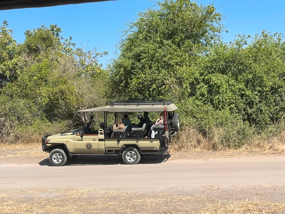 Travelers on a photographic safari in Chobe National Park with Pieland Gorilla Safaris can capture some of Botswana’s most impressive wildlife and landscapes. Chobe is especially rewarding for photographing elephants along the river, lions on the plains, giraffes in woodland, hippos, crocodiles and colorful birdlife. Morning game drives provide soft light and active wildlife, while afternoon boat safaris create excellent opportunities for low-angle images, reflections and dramatic sunsets. With Pieland Gorilla Safaris, photographers can enjoy carefully planned wildlife viewing, patient guiding and memorable opportunities to capture natural animal behavior throughout one of Botswana’s finest safari destinations.