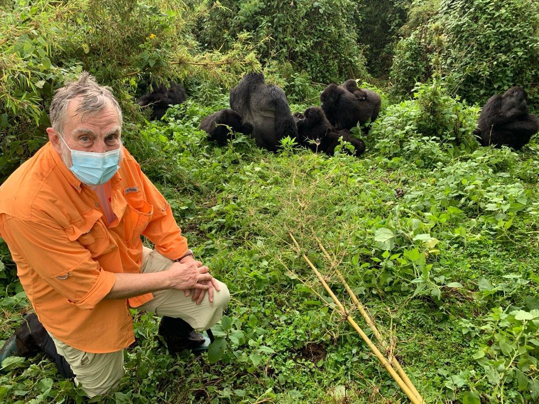 An elderly traveler enjoys a remarkable encounter with mountain gorillas in Volcanoes National Park, Rwanda, surrounded by the misty green slopes of the Virunga Mountains. Sitting quietly near a gorilla family, he watches their natural behavior with a sense of wonder, gratitude, and excitement. The peaceful moment reflects how rewarding gorilla trekking can be for senior travelers when the journey is carefully planned. With experienced guides, porter assistance, comfortable pacing, and suitable preparation, older visitors can enjoy meaningful wildlife experiences in Rwanda. This unforgettable encounter shows that age does not have to stand in the way of seeing mountain gorillas.