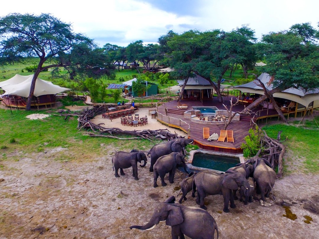 Somalisa Camp can be beautifully combined with Palm River Hotel for travelers planning a safari that includes both Victoria Falls and Hwange National Park. Palm River Hotel provides elegant riverside accommodation near Victoria Falls, making it ideal for waterfall tours, Zambezi River cruises, and relaxation before continuing deeper into Zimbabwe. Somalisa Camp then offers a more immersive safari experience in Hwange, surrounded by wilderness and excellent opportunities for wildlife viewing. Combining the two creates a balanced journey with luxury, river scenery, dramatic waterfalls, and classic African game viewing, making it especially suitable for couples, honeymooners, families, and luxury safari travelers.