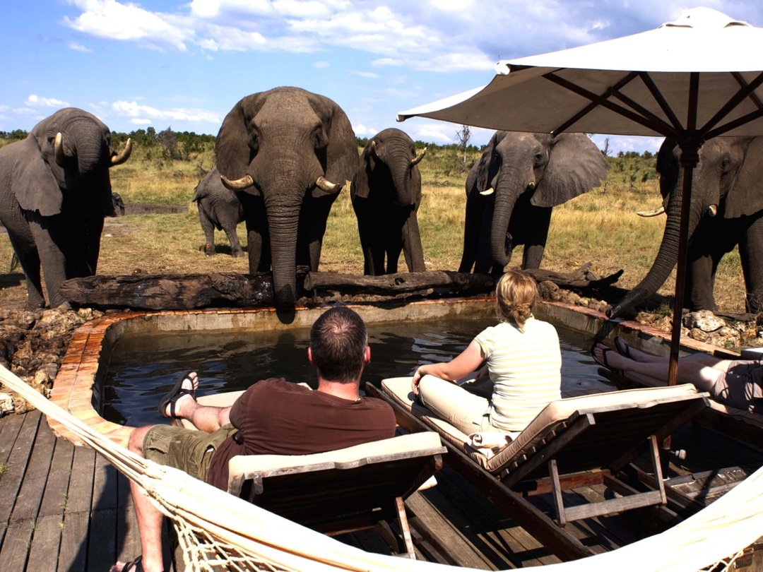 The Hide Safari Camp and Victoria Falls River Lodge are excellent accommodation choices for travelers planning a combined Victoria Falls and Hwange Safari. Victoria Falls River Lodge offers luxury accommodation beside the Zambezi River, creating a peaceful wilderness atmosphere close to Victoria Falls and its major activities. The Hide Safari Camp, located in Hwange National Park, provides a more immersive wildlife experience with excellent opportunities to observe elephants and other animals around its well-known waterhole. Combining these two lodges allows travelers to enjoy the dramatic beauty of Victoria Falls together with deeper wildlife viewing in Hwange National Park.