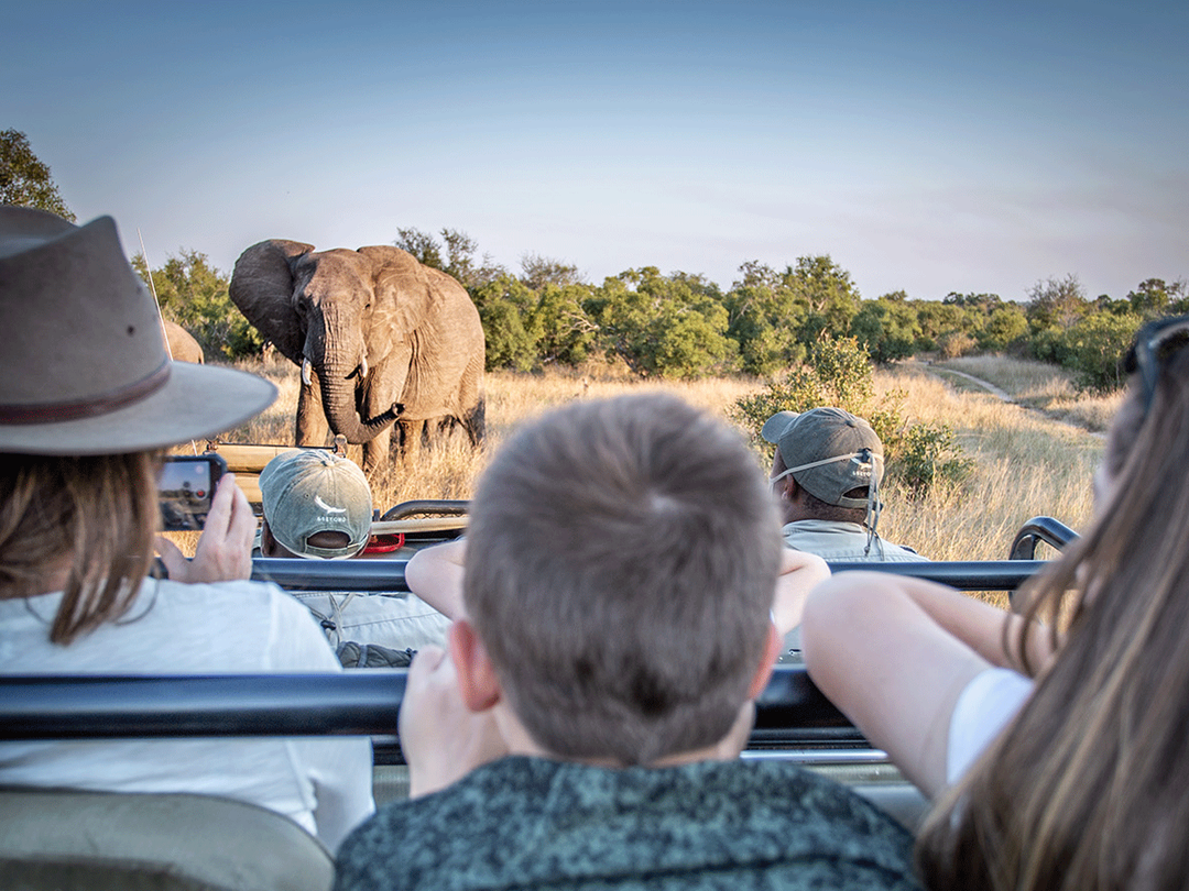 A family enjoying a game drive in Chobe National Park can experience one of the most exciting highlights of a Victoria Falls family safari. Children and parents can watch elephants, giraffes, buffaloes, antelopes and many other animals while exploring Chobe’s beautiful landscapes in an open safari vehicle. The experience is both adventurous and educational, giving younger travelers the chance to learn about African wildlife in its natural environment. Pieland Gorilla Safaris can arrange family-friendly game drives, comfortable transfers and suitable accommodation, creating a relaxed safari that combines Victoria Falls sightseeing with memorable wildlife encounters in Botswana.