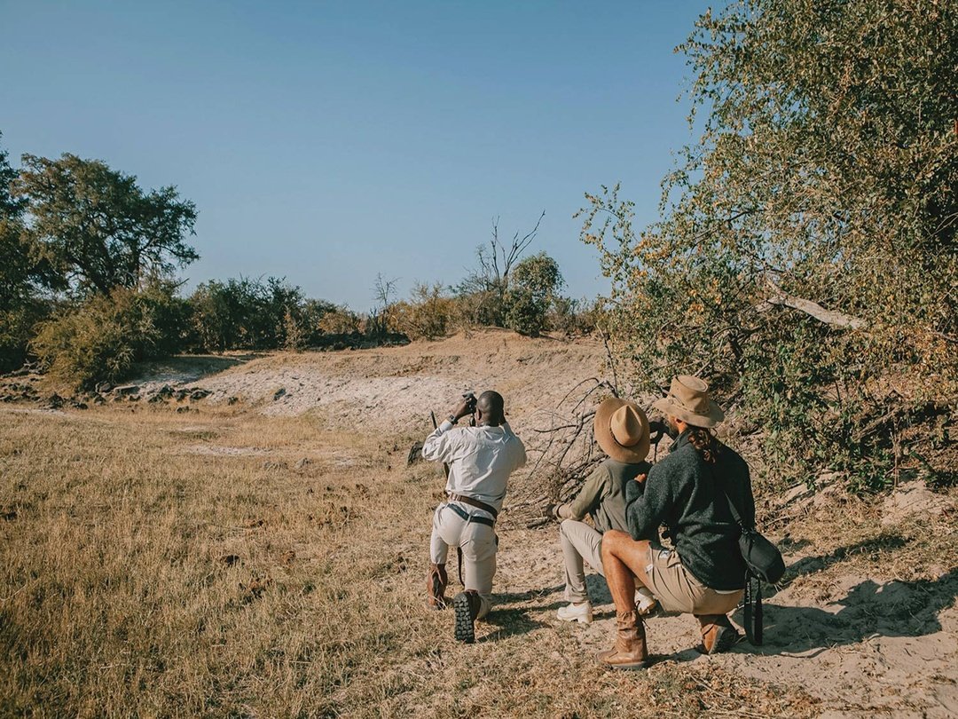 A couple enjoying a wildlife adventure in Victoria Falls National Park, discovering the beauty of nature while surrounded by the incredible landscapes of the area. They experience unforgettable moments as they explore the wilderness, observe wildlife, and appreciate the unique combination of adventure, romance, and natural wonders that make Victoria Falls a perfect destination.