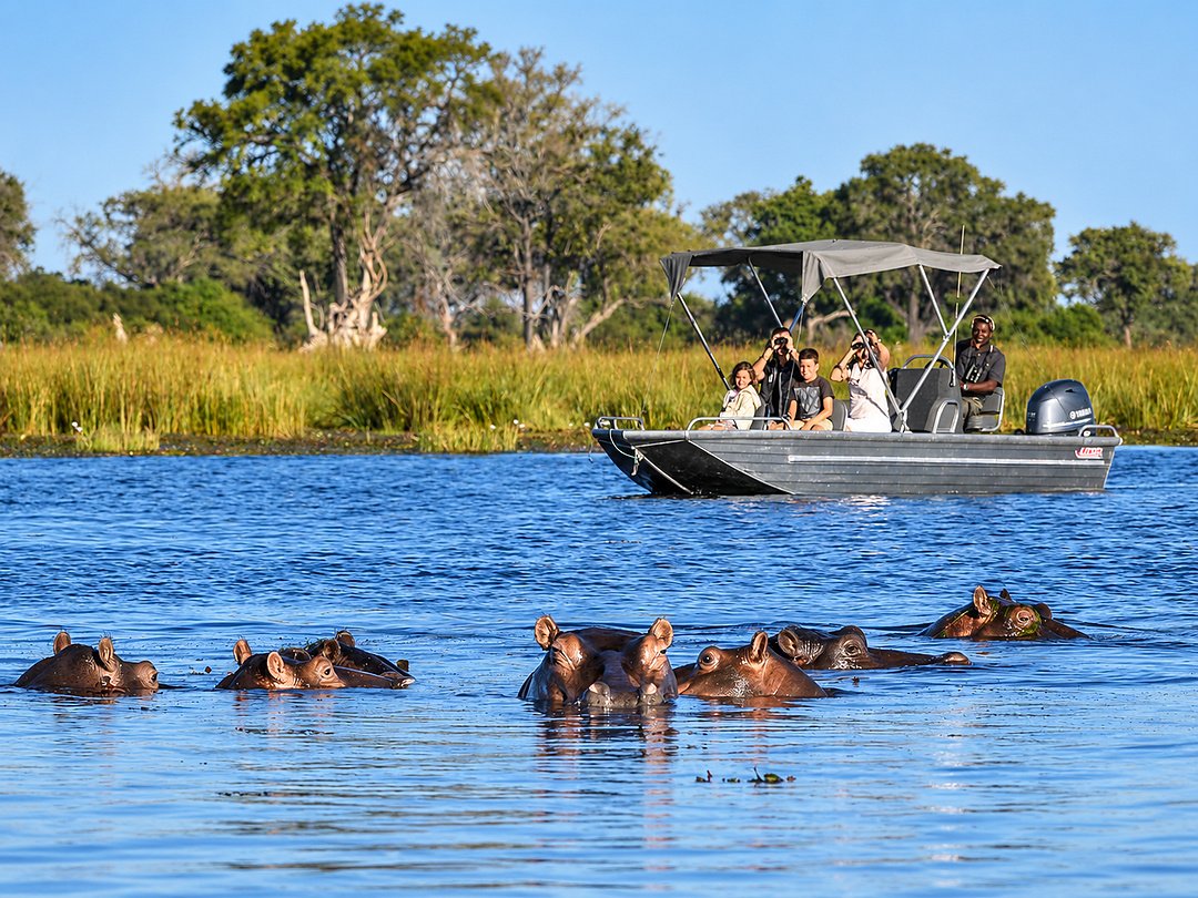 Tourists enjoying a boat cruise through the waterways of the Okavango Delta during a Botswana safari