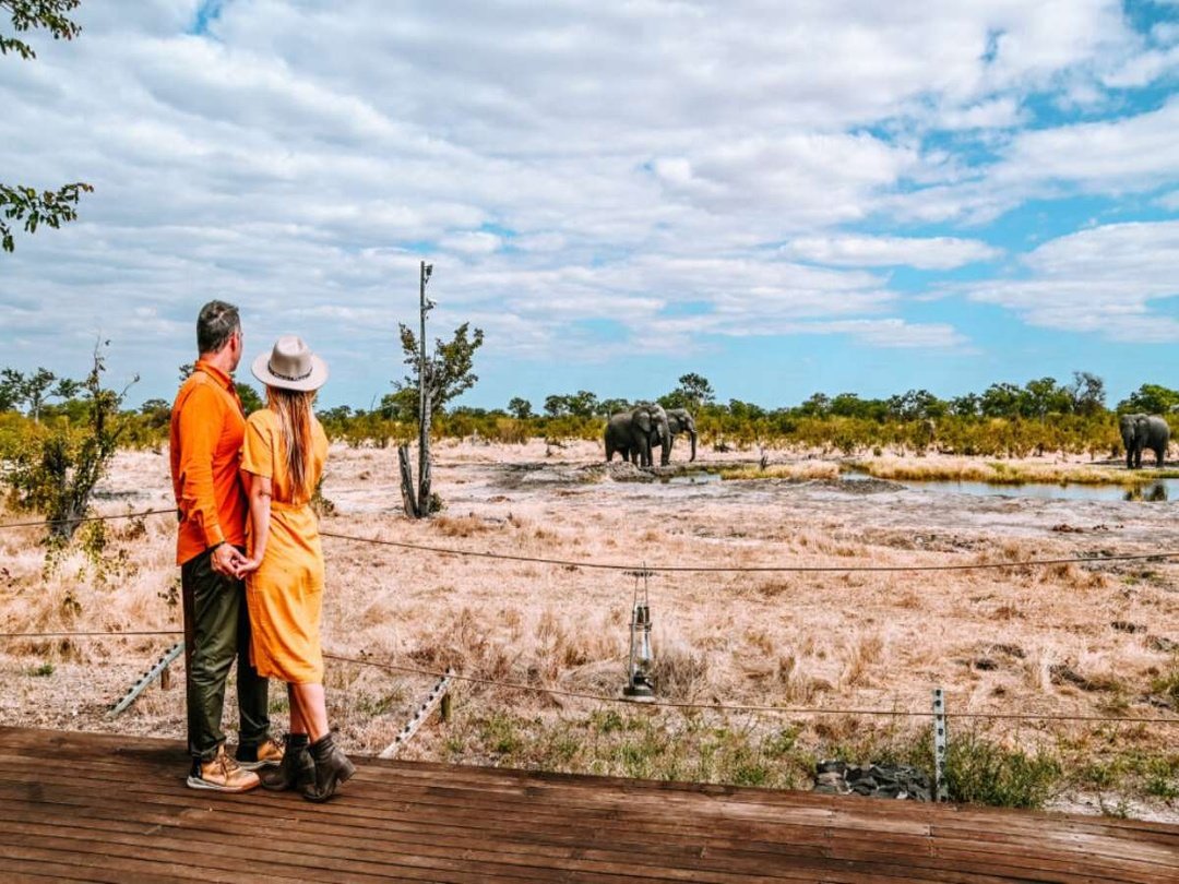 Couple watching elephants during their honeymoon safari in Africa.