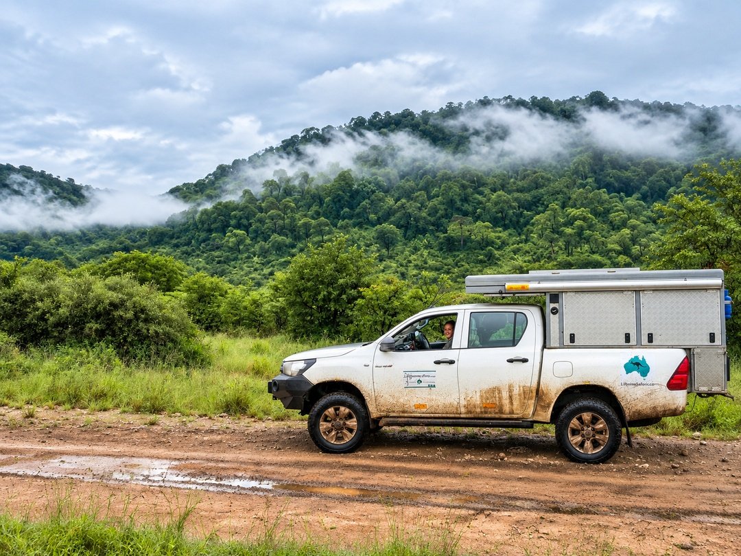 Tourists on a self-drive safari exploring Savuti in Botswana with a 4x4 safari vehicle.