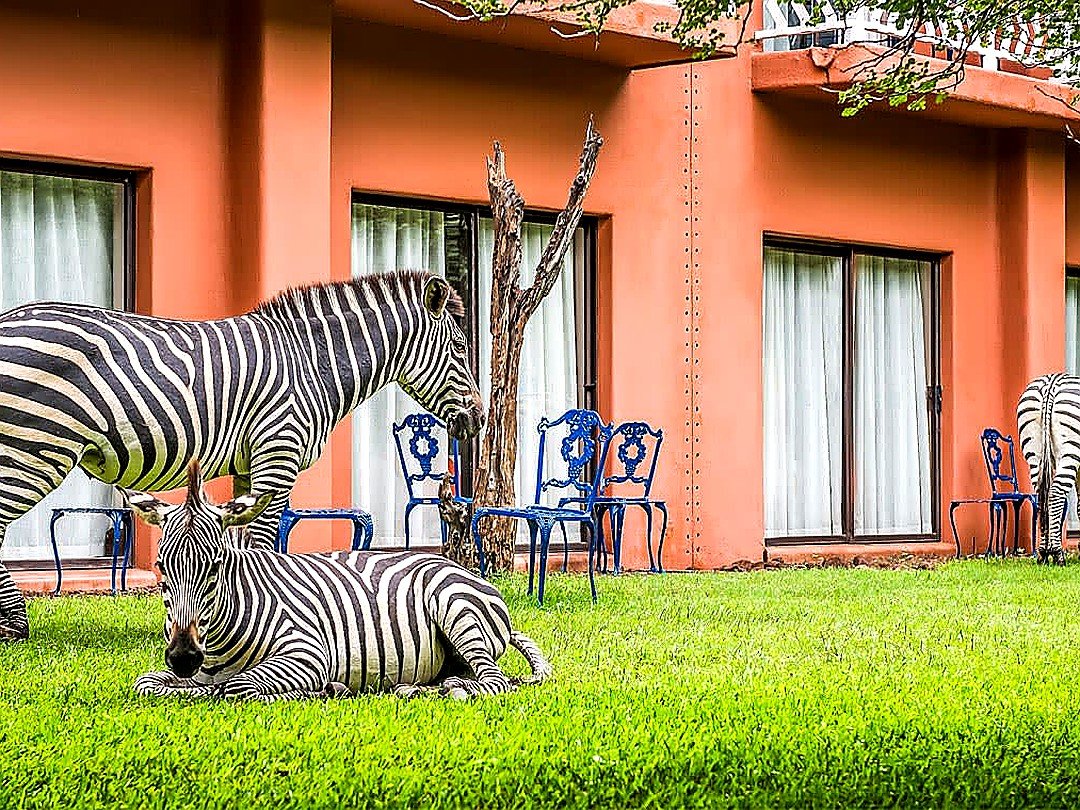 Avani Victoria Falls Resort near the Zambezi River offering comfortable mid-range accommodation close to Victoria Falls in Zambia