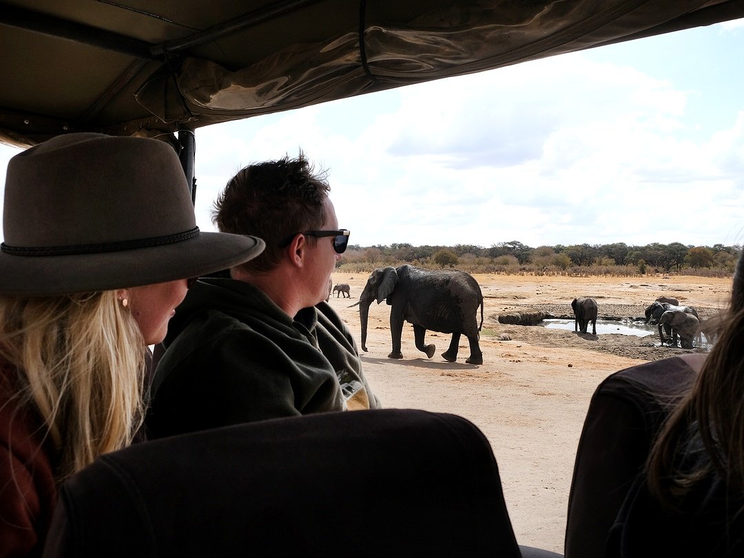 Tourists enjoying a budget Victoria Falls wildlife safari experience in Hwange National Park while observing elephants during a game drive