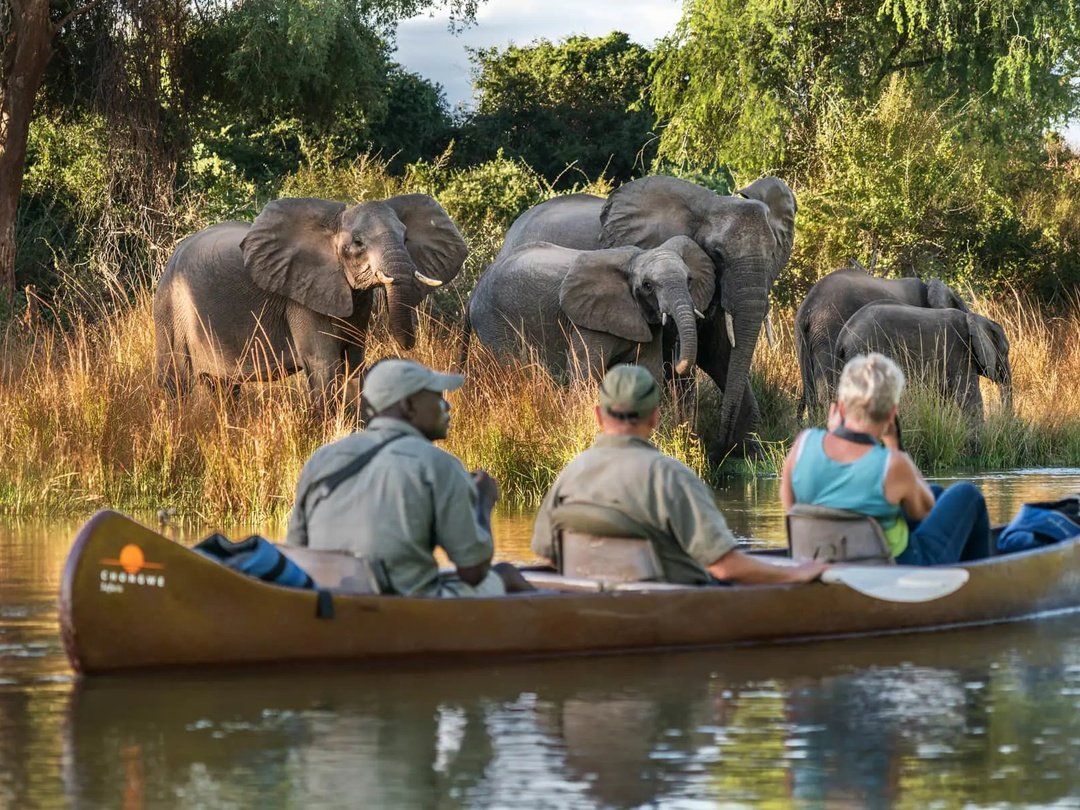 Tourists enjoying a canoe safari while viewing elephants in Lower Zambezi National Park, Zambia.