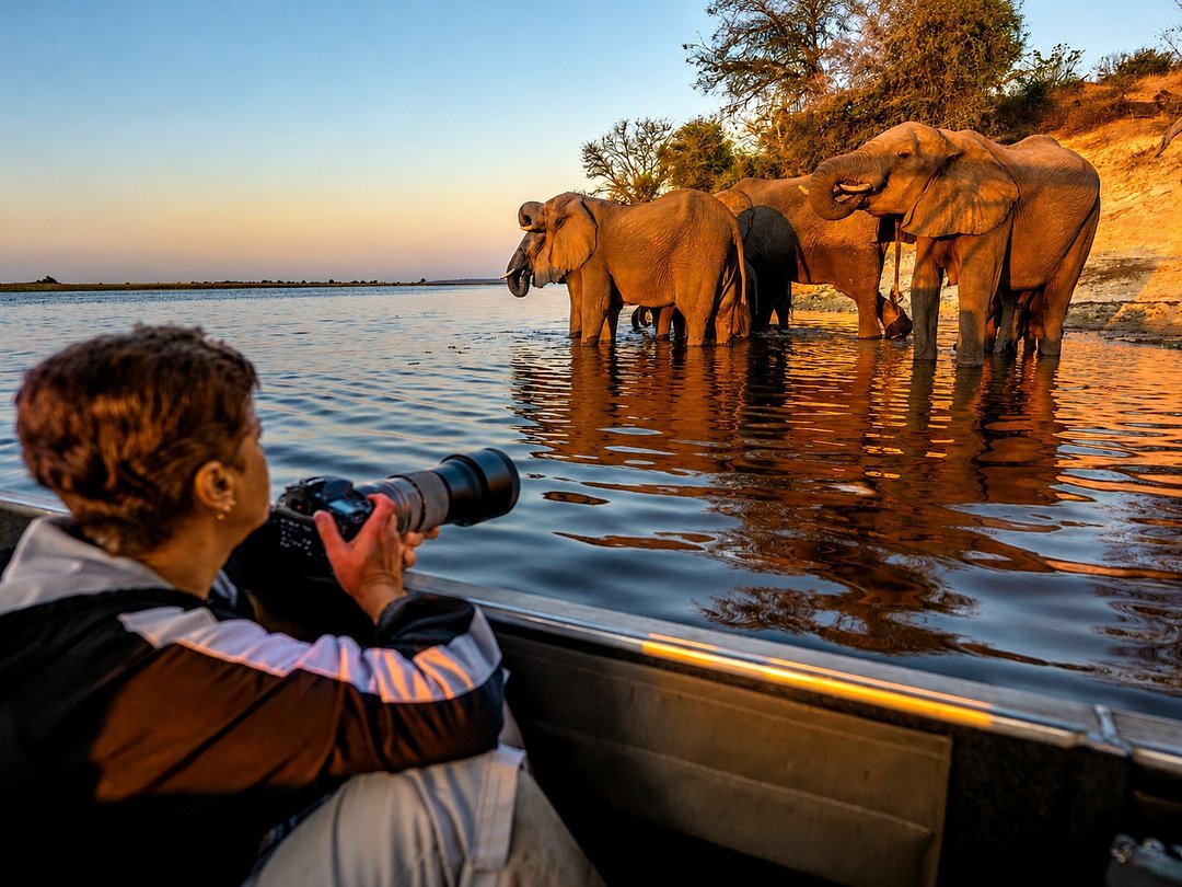 Tourist taking photos of elephants along the Chobe River during boat cruise.