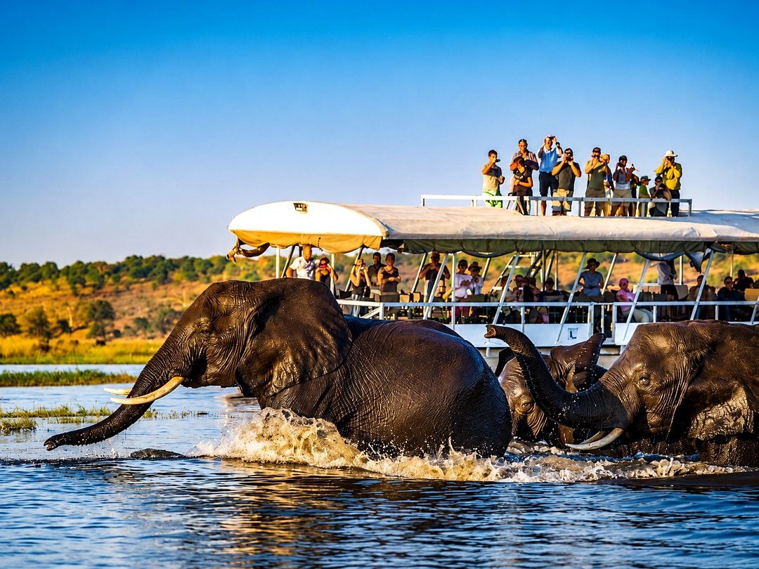 Elephants crossing the Chobe River as tourists look on.