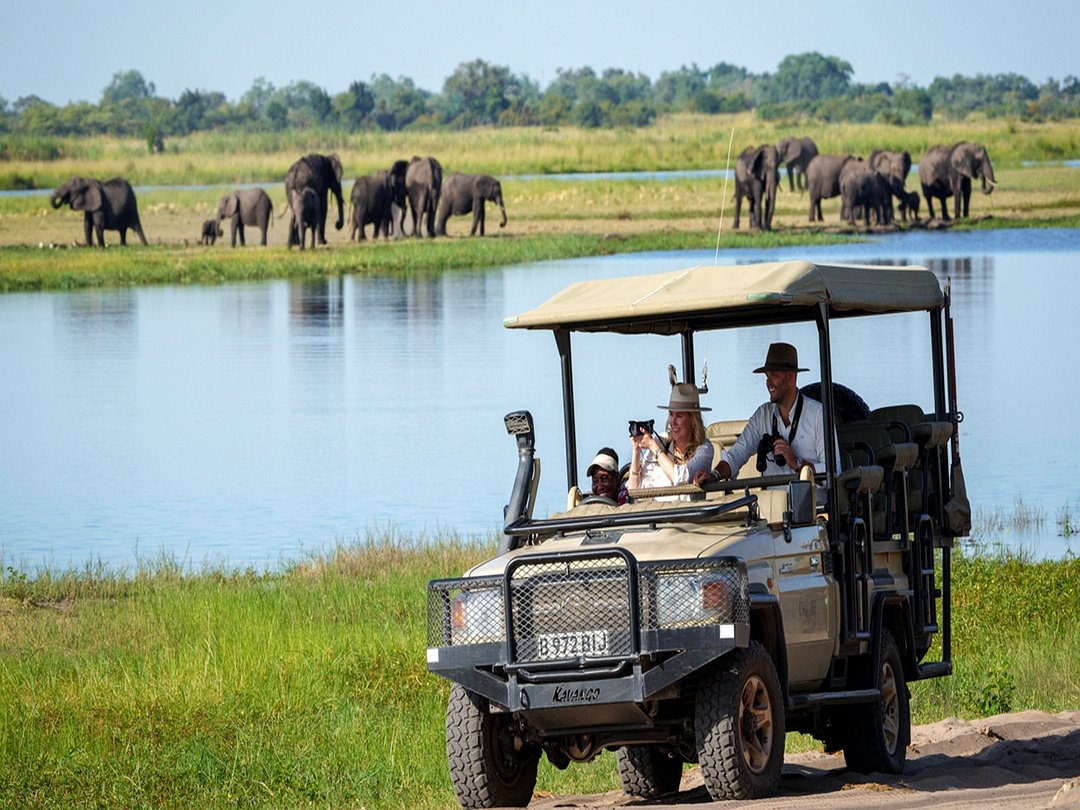 A couple enjoying a game drive in Chobe National Park while viewing elephants near the river during a Victoria Falls and Botswana wildlife safari.