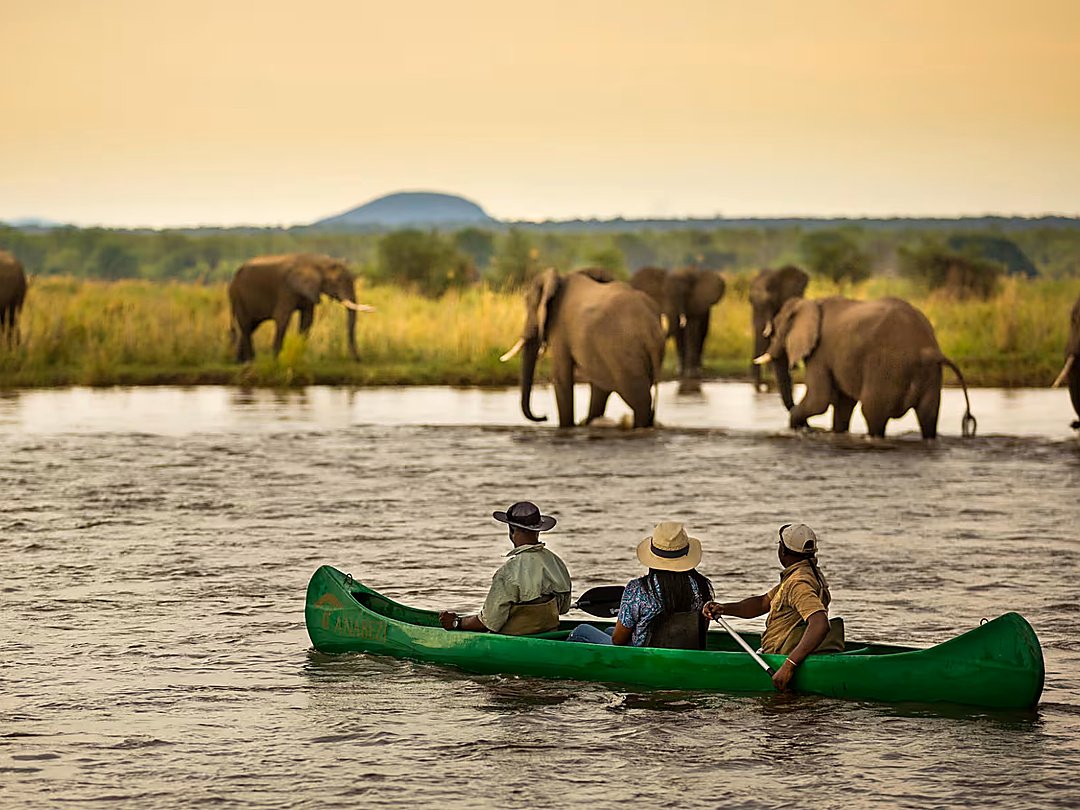 Elephants crossing the River Zambezi as travellers enjoy a guided canoe safari.
