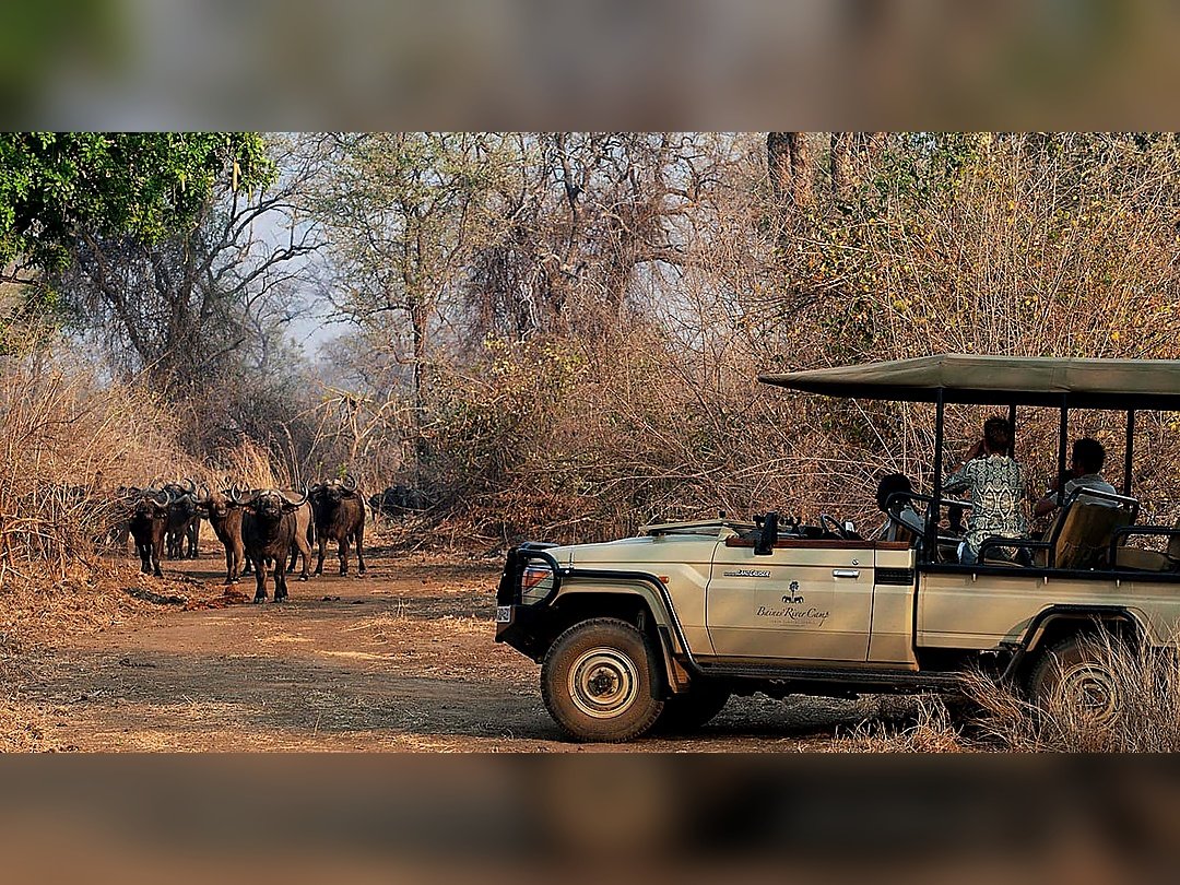 Tourists enjoying a game drive in Lower Zambezi National Park during the dry season.